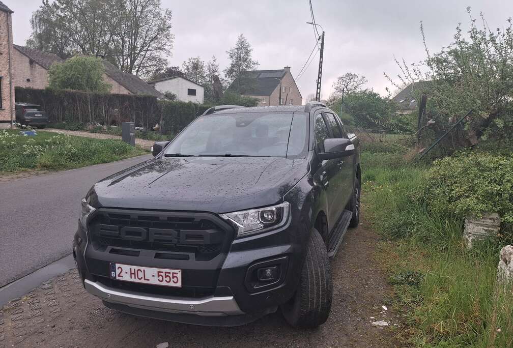 Ford 2.0 BiT EcoBlue Wildtrak (EU6.2)