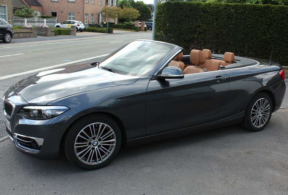 BMW Cabrio 218iA pdc, camera nieuwstaat met garantie