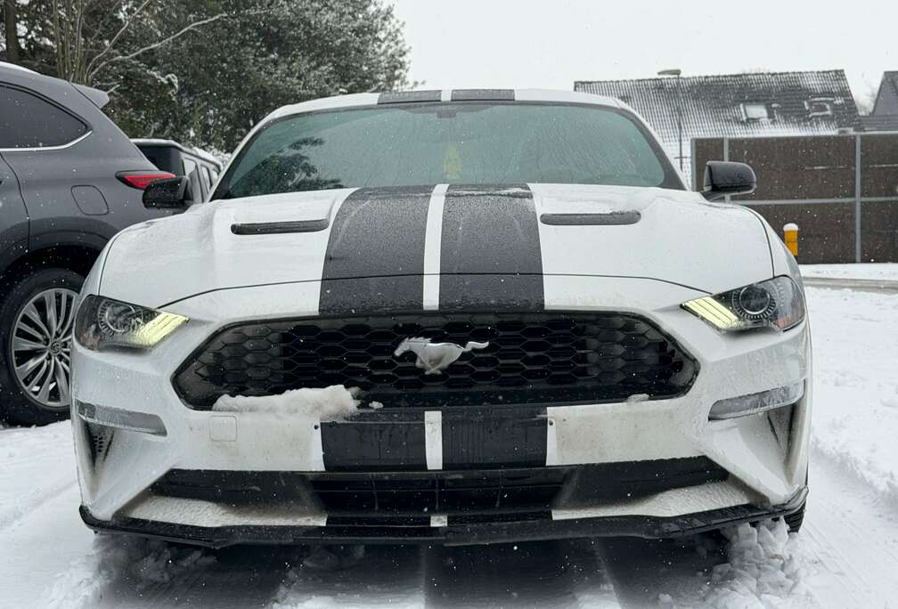 Ford 2.3 Eco Boost Aut-55000km-2019-Full Option