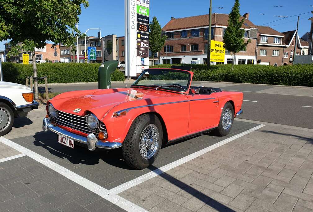 Triumph TR 250