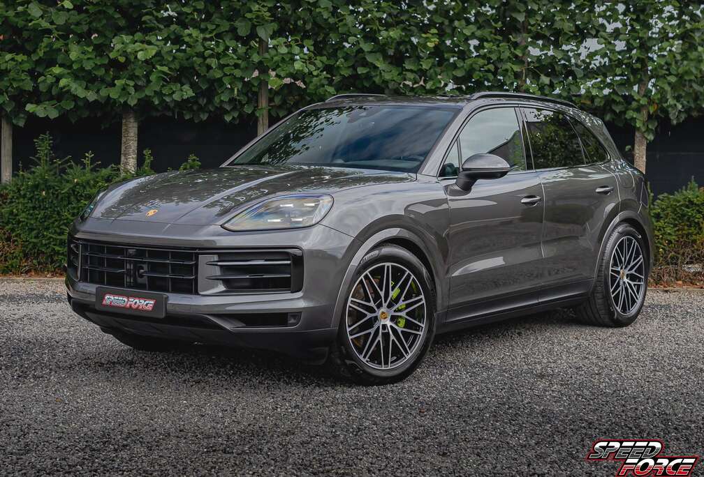 Porsche E-Hybrid  21\