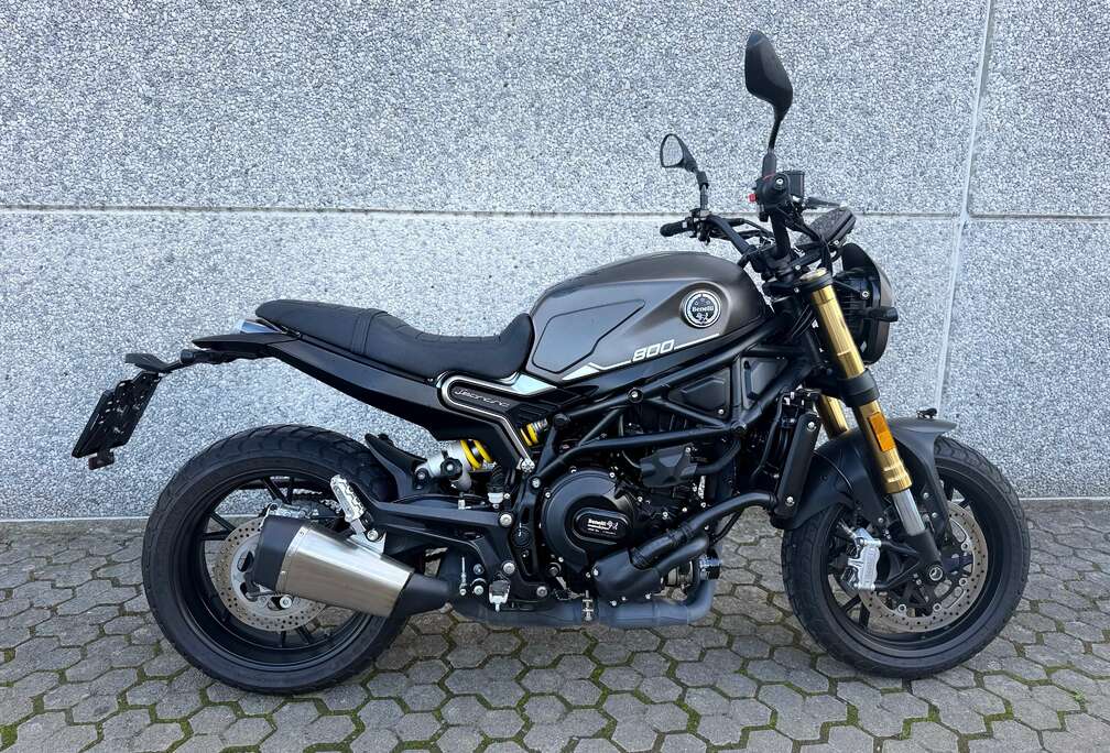 Leoncino 800