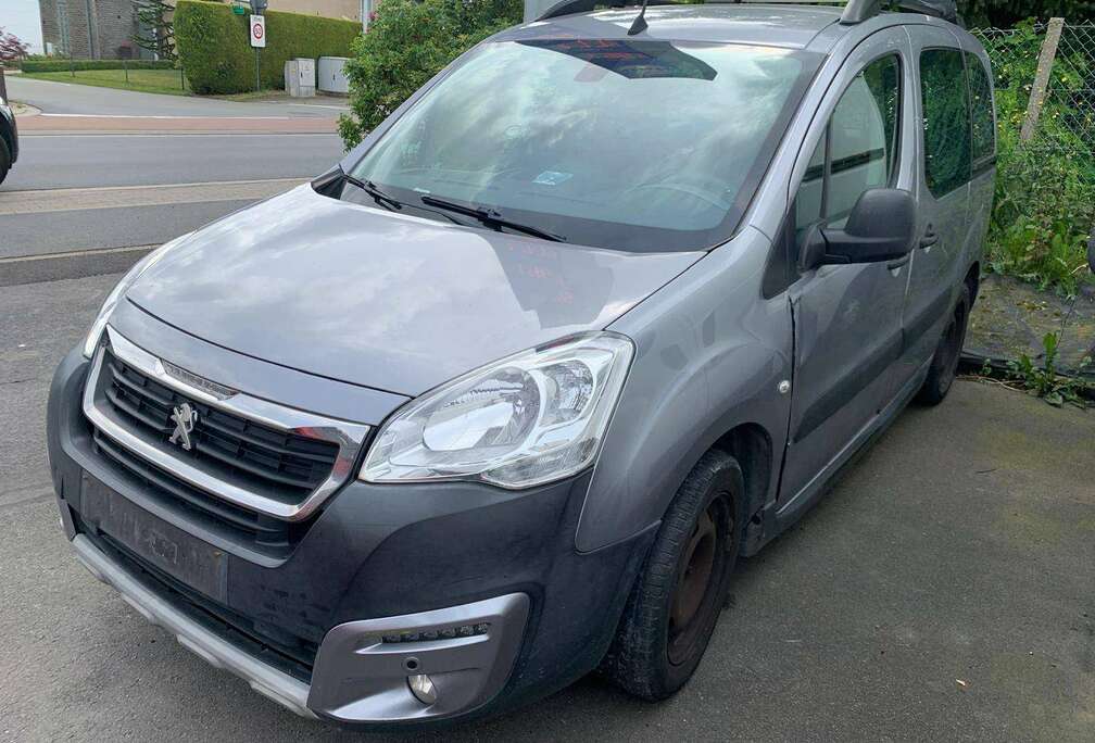 Peugeot Partner Tepee 1.6 ***probleme alternateur