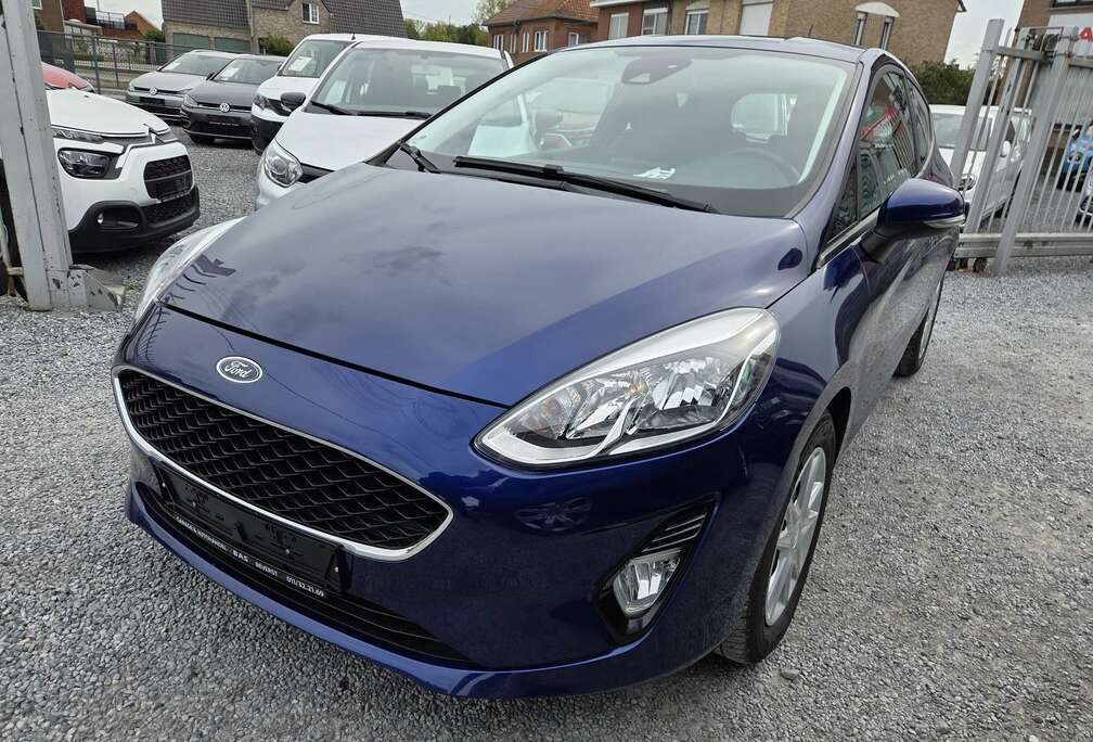 Ford 1.01jOMNIGARANTIEPARKSAUTOMAATDABGRTONDERHOUD