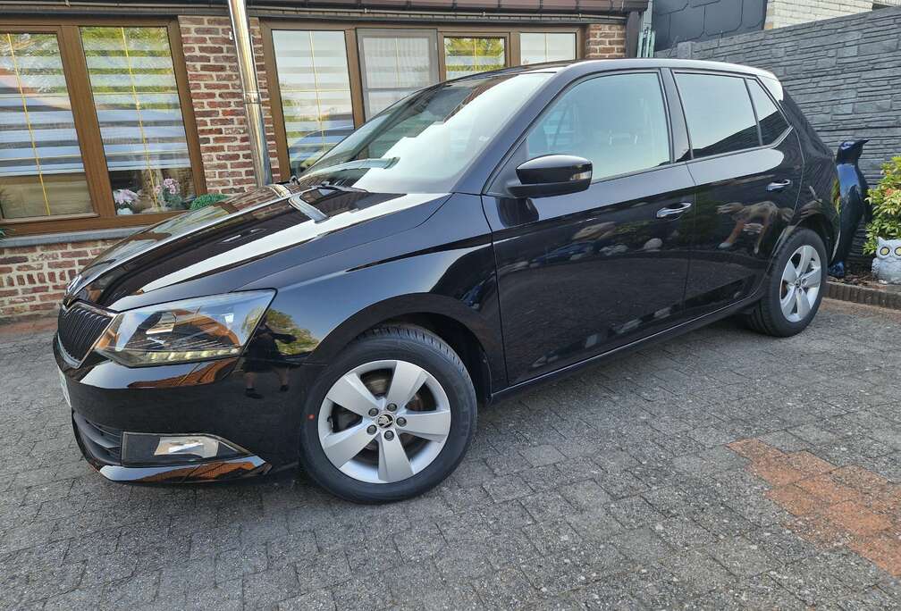 Skoda 1.0i Active