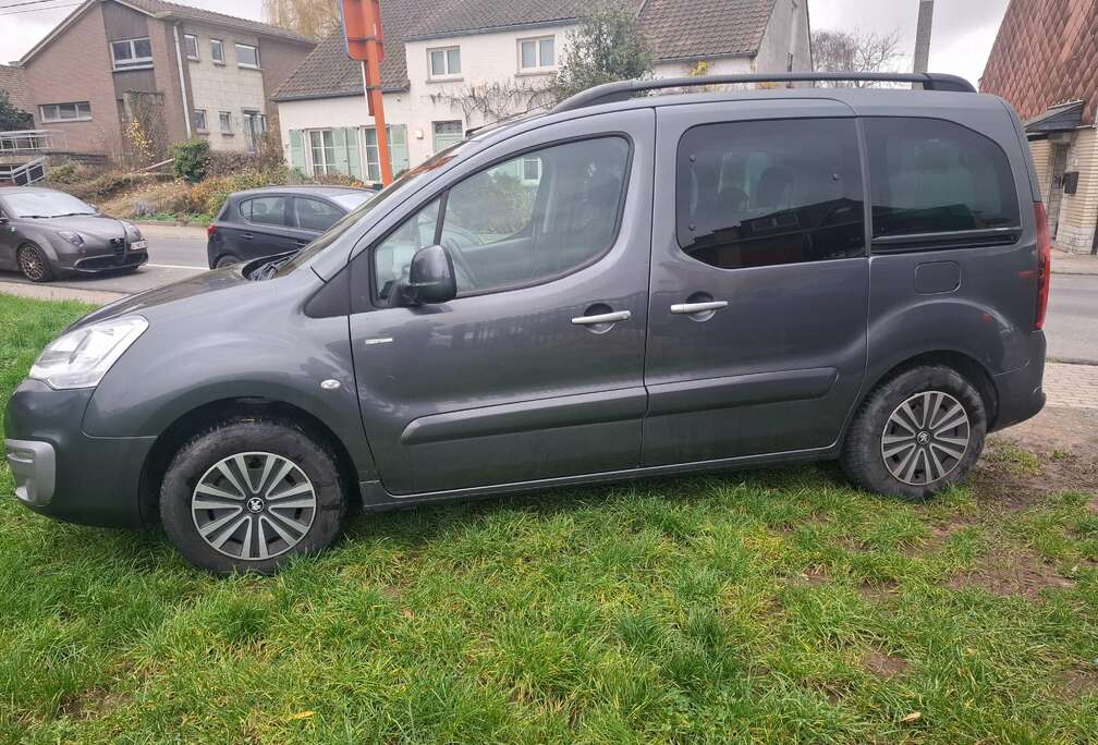 Peugeot Partner Tepee 1.6 BlueHDi Style S