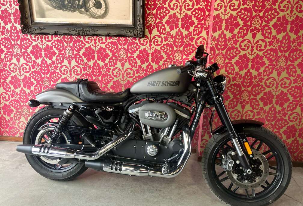 sportster 1200 roadster