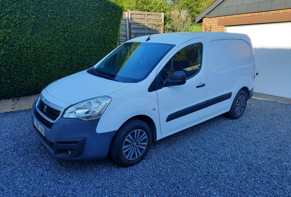 Peugeot 1.6 BlueHDi L2H1 Premium 121 S/S
