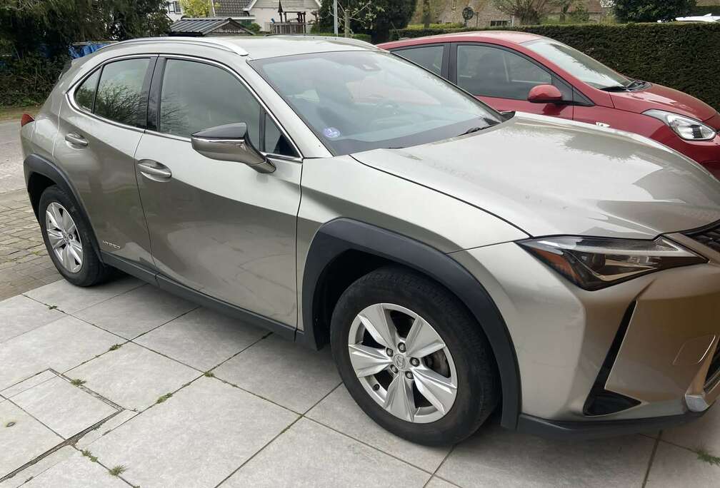 Lexus UX 250h 2.0i AWD Business Line