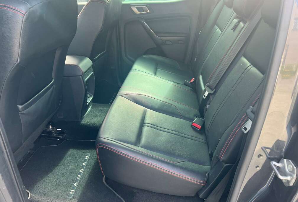 Ford 2.0 BiT EcoBlue Raptor (EU6.2)