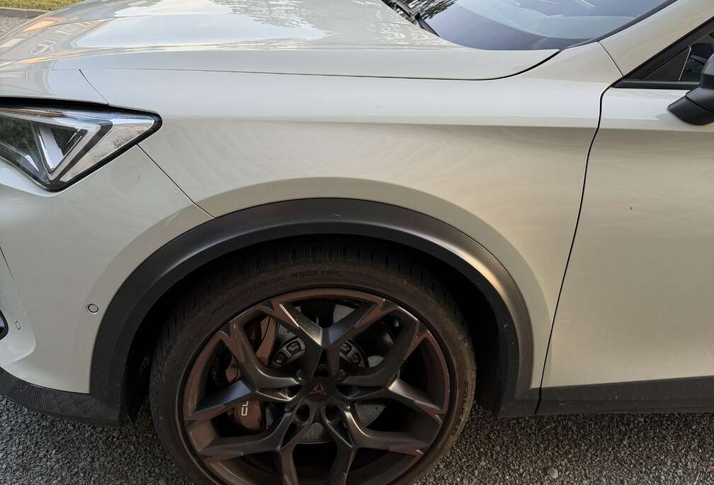 Formentor 2.5 TSI 4Drive VZ5 Taiga Grey DSG