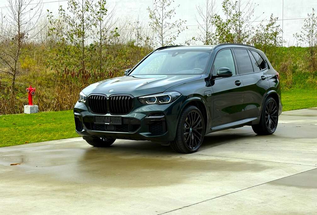 BMW 45e MpakketUnieke Special Request Oxford Green