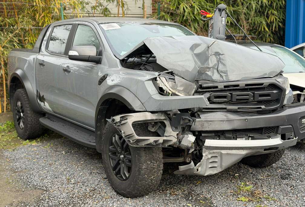 Ford 2.0 BiT EcoBlue Raptor (EU6.2)