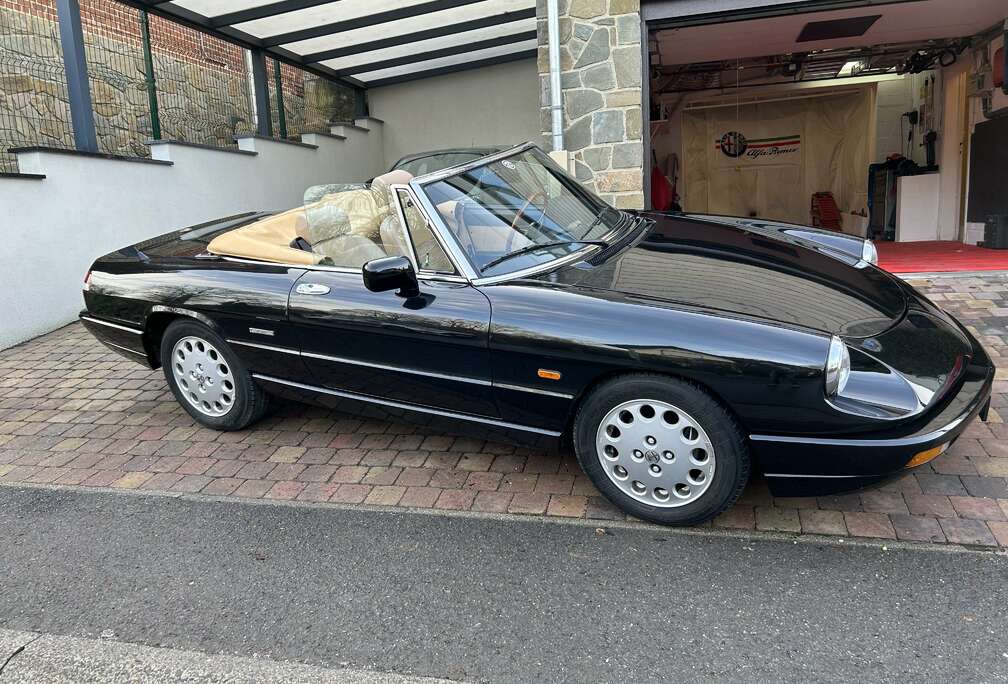 Alfa Romeo