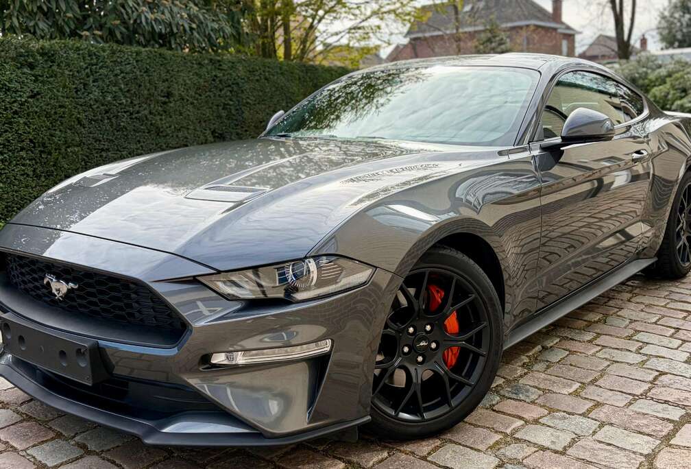 Ford Fastback 2.3 EcoBoost Automaat  ### 37000 km ###