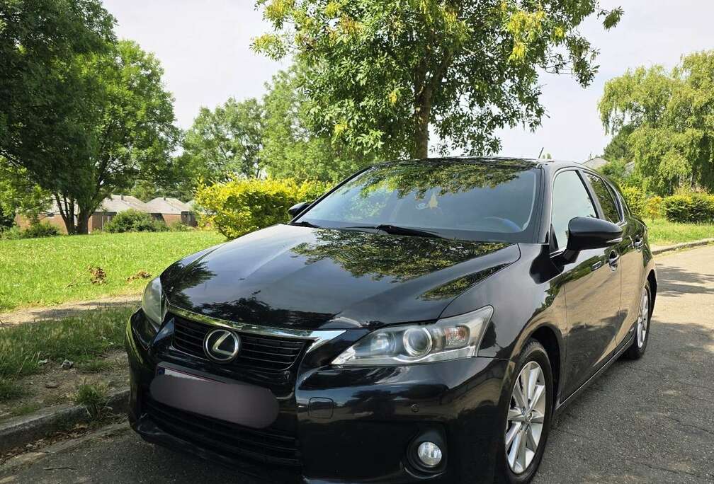 Lexus Dynamic Line