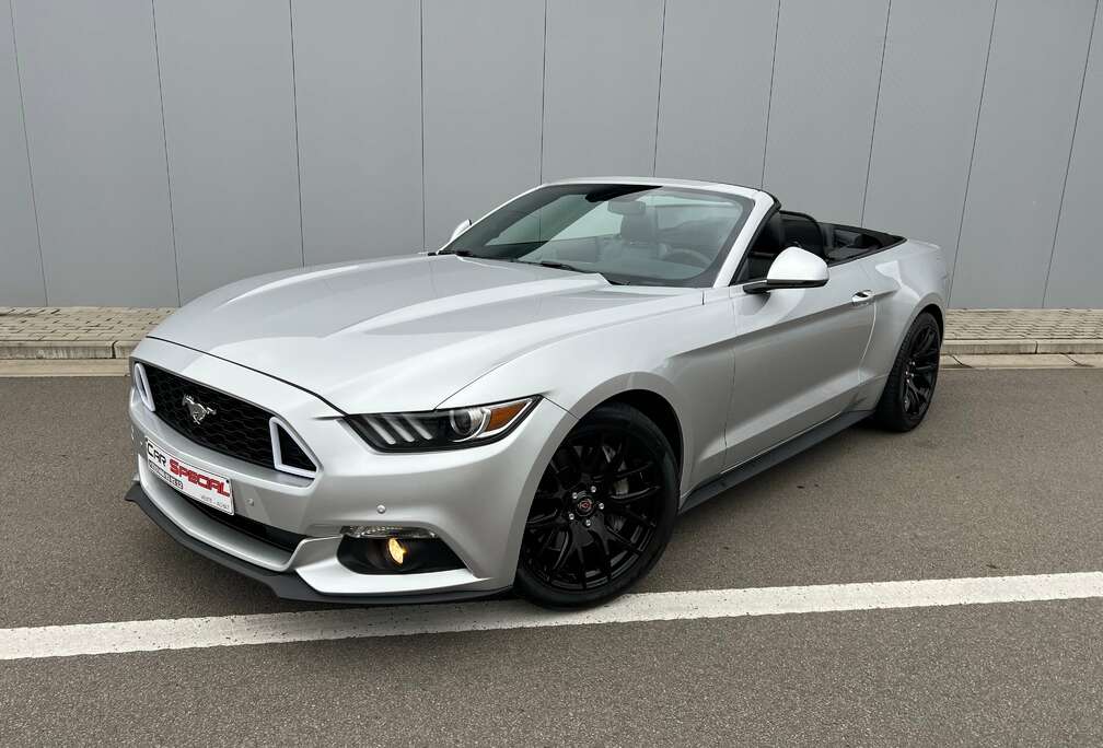 Ford Convertible 2.3 EcoBoost  - Exhaust REMUS -
