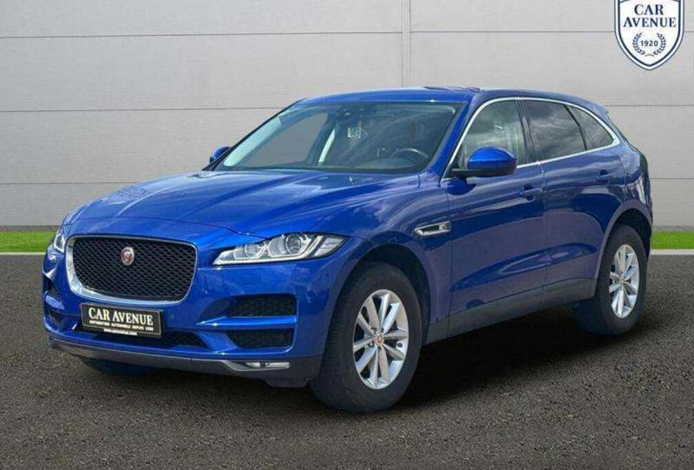 Jaguar Portfolio