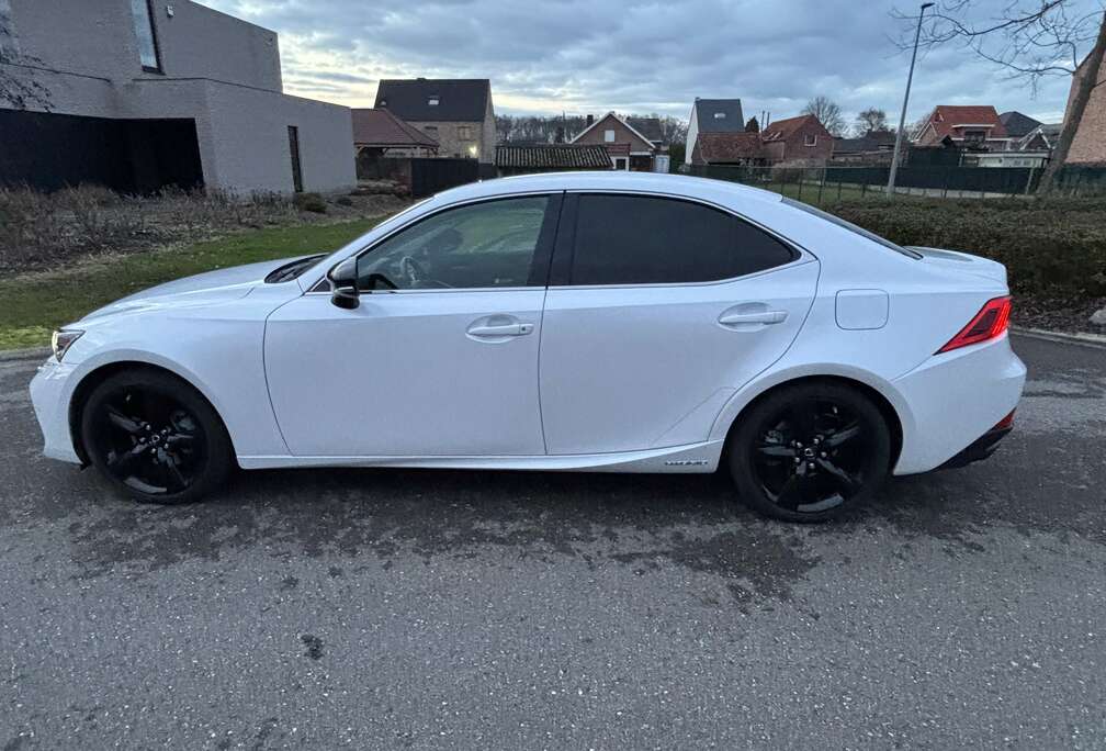 Lexus Sedan black edition