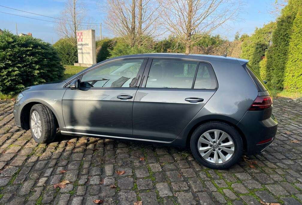 Volkswagen 1.5 TGI BlueMotion DSG Highline