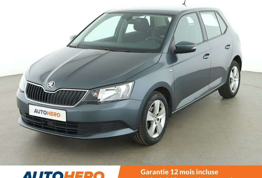 Skoda 1.0 TSI Clever