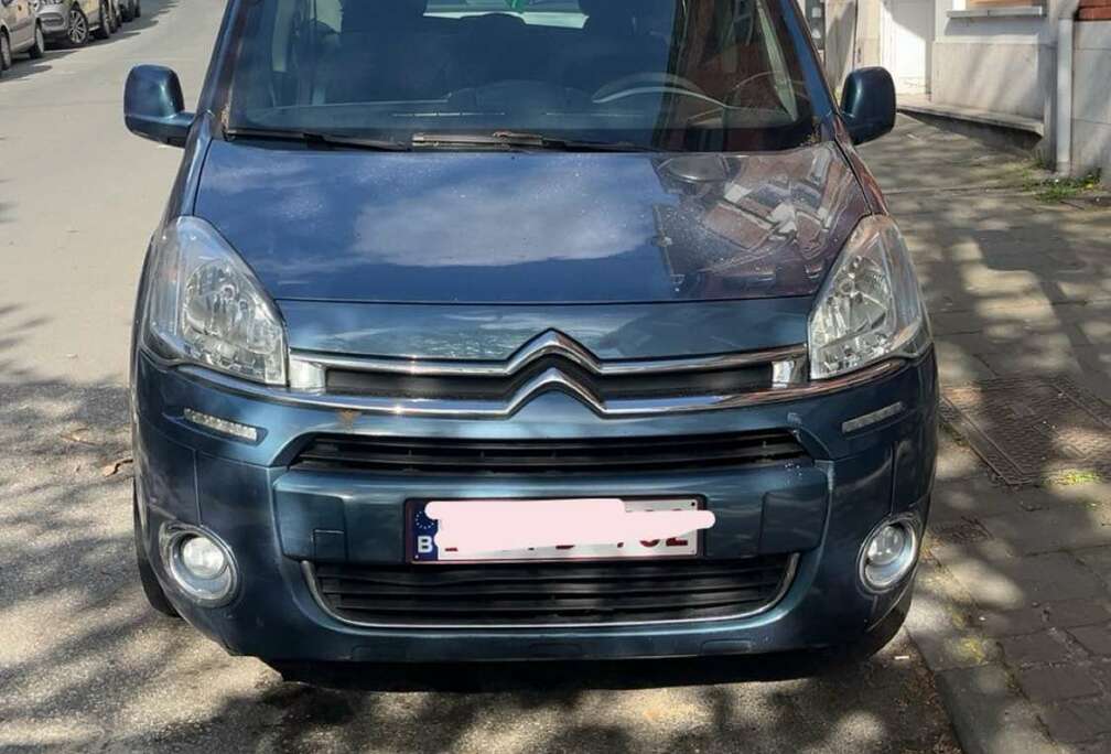 Citroen 1.4i SX Hayon/Achterklep