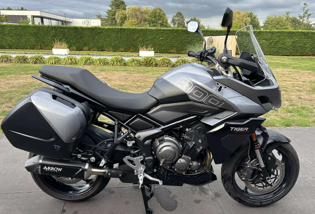 Triumph Sport
