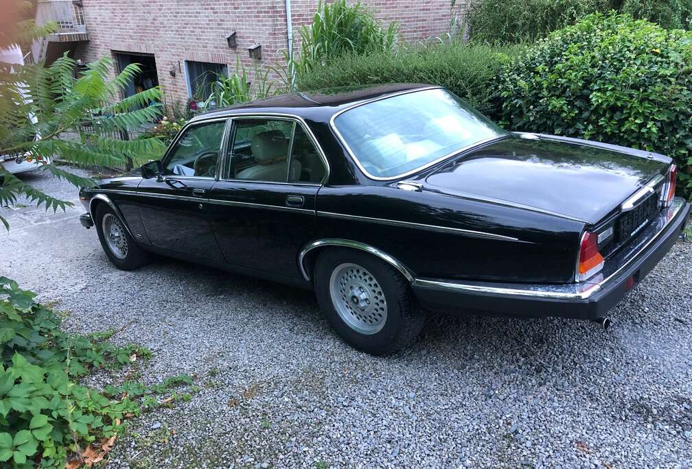 Jaguar 5,2l  V12 ancêtre