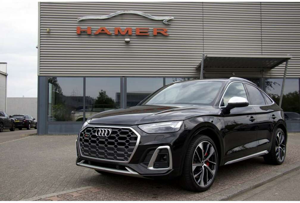 Audi Sportback 3.0 TDI AIR AHK PANO StdHzg Matrix