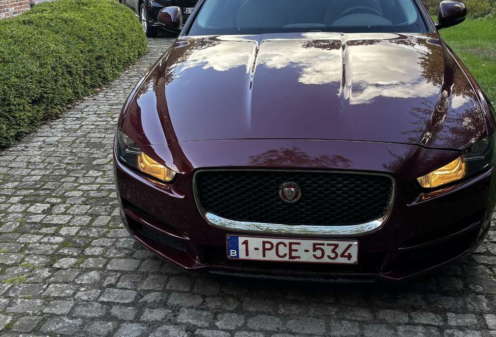 Jaguar 2.0 D E-Performance Portfolio