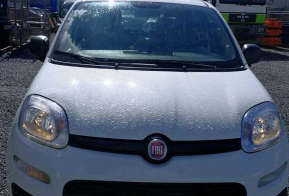 Fiat 1.2 69 ch S/S City Cross