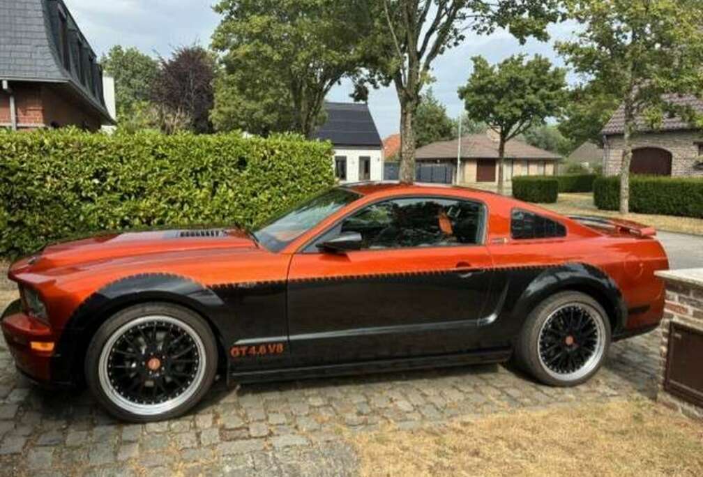 Ford 4.6v8  custom made , brand new int en ext,top