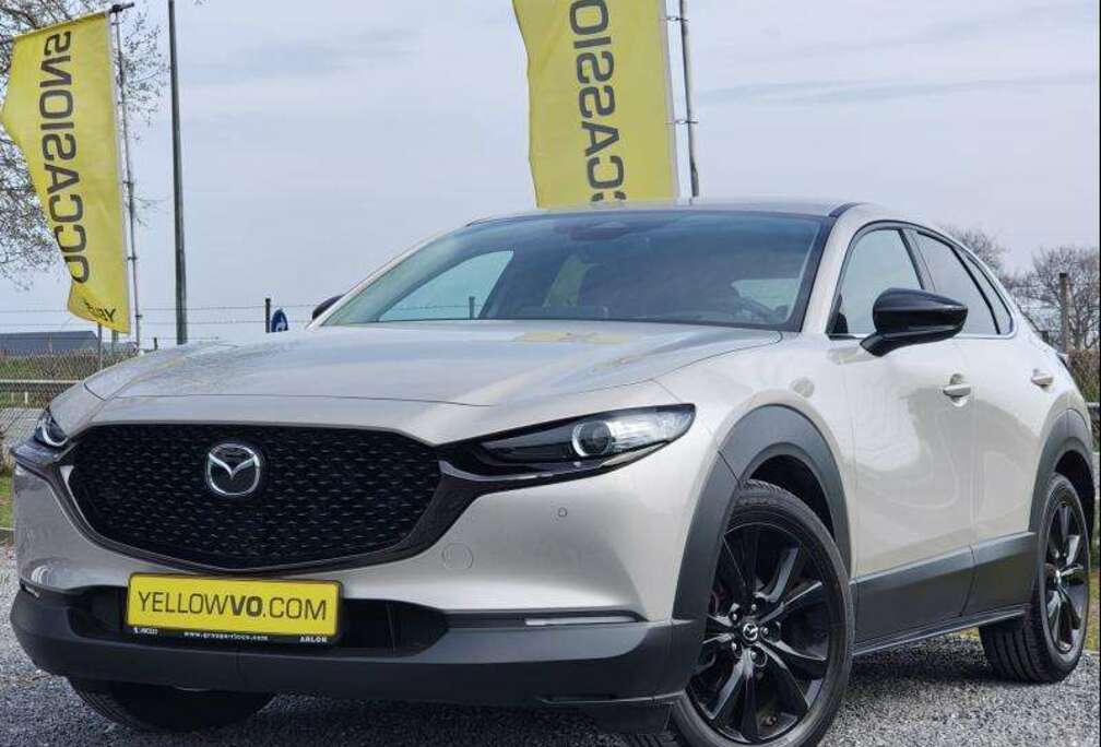 Mazda Nagisa / 2.5i SkyActiv-G MHEV