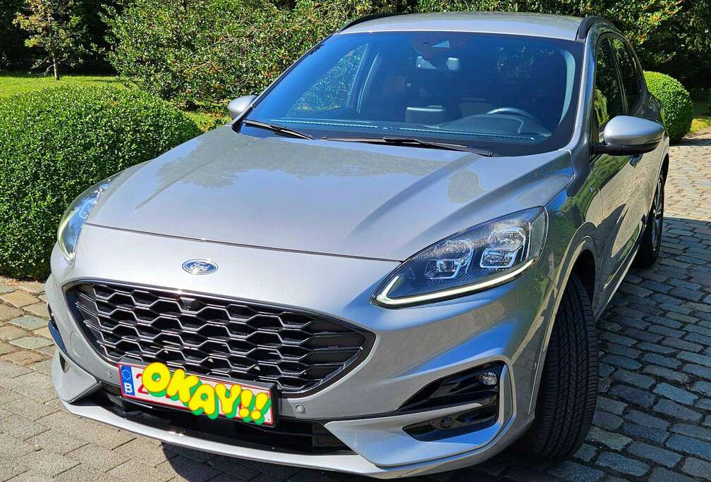 Ford Kuga FHEV 2.5 EcoBoost AWD ST-Line X (EU6d)