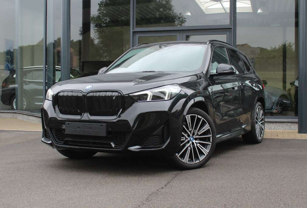 BMW xDrive30 M Sport / INDIVIDUAL / DRIV. PROF. / CAM