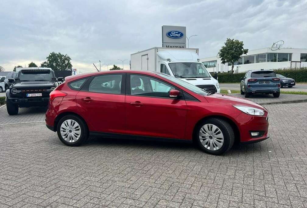 Ford Enkel voor professionele verkoop.