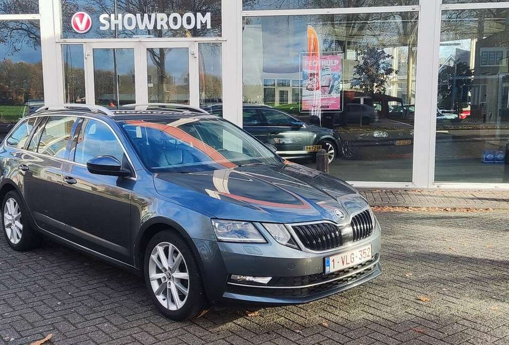 Skoda Combi 1.4 TSI DSG Style Business  Leder / Euro 6