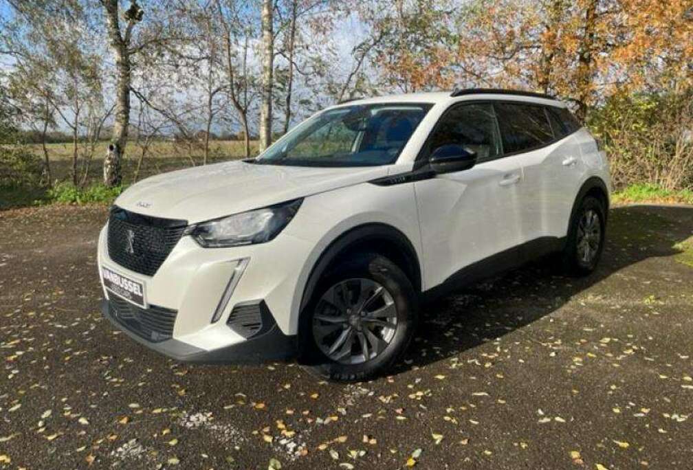 Peugeot Style
