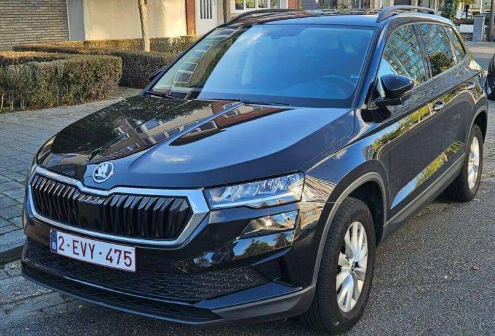Skoda Karoq 1.5 TSI ACT Ambition DSG Ambition