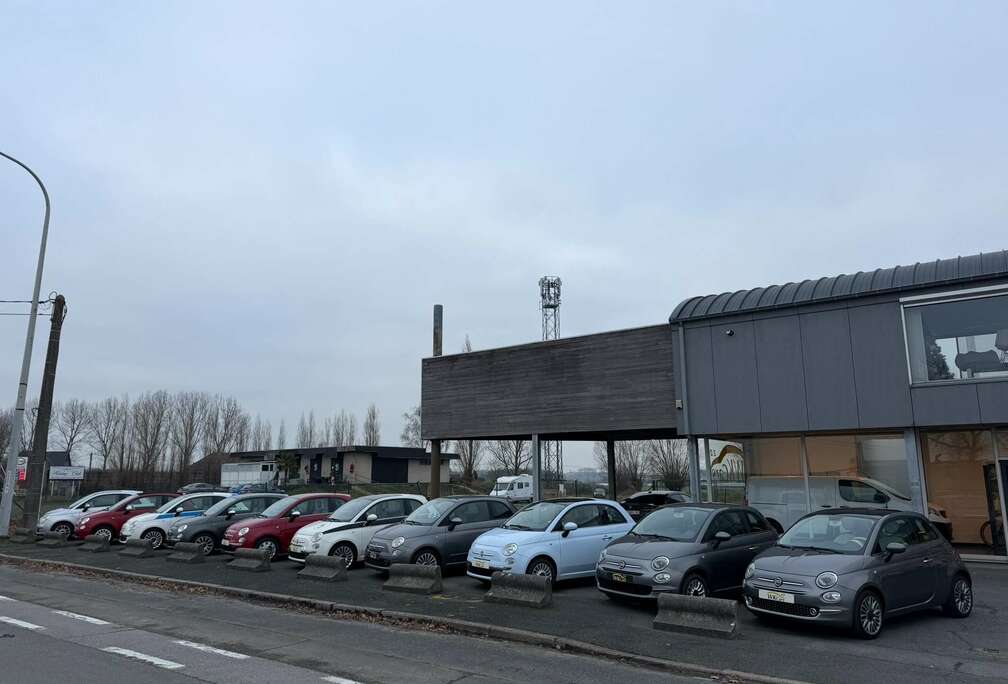 Fiat 500 1.2//10 stuks op stock//prijzen in de uitleg//