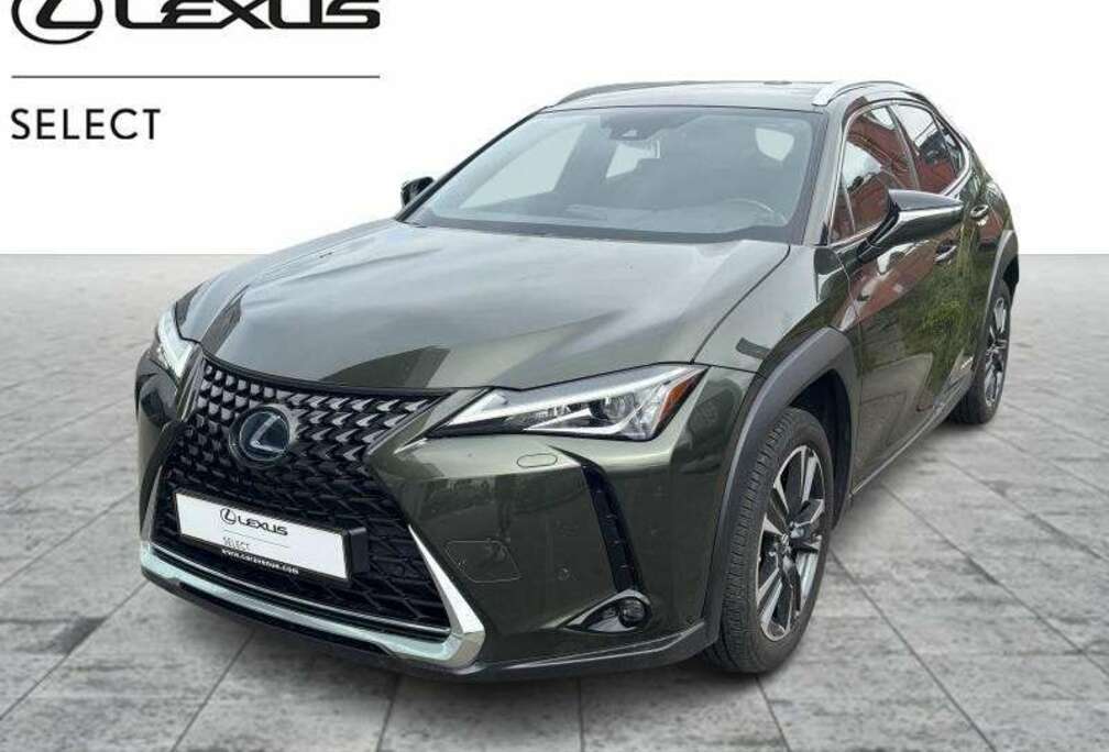 Lexus Executive Line