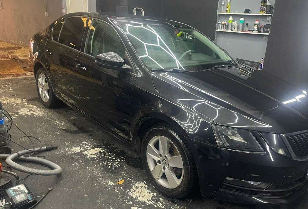 Skoda 1.6 CR TDi Ambition (EU6.2)