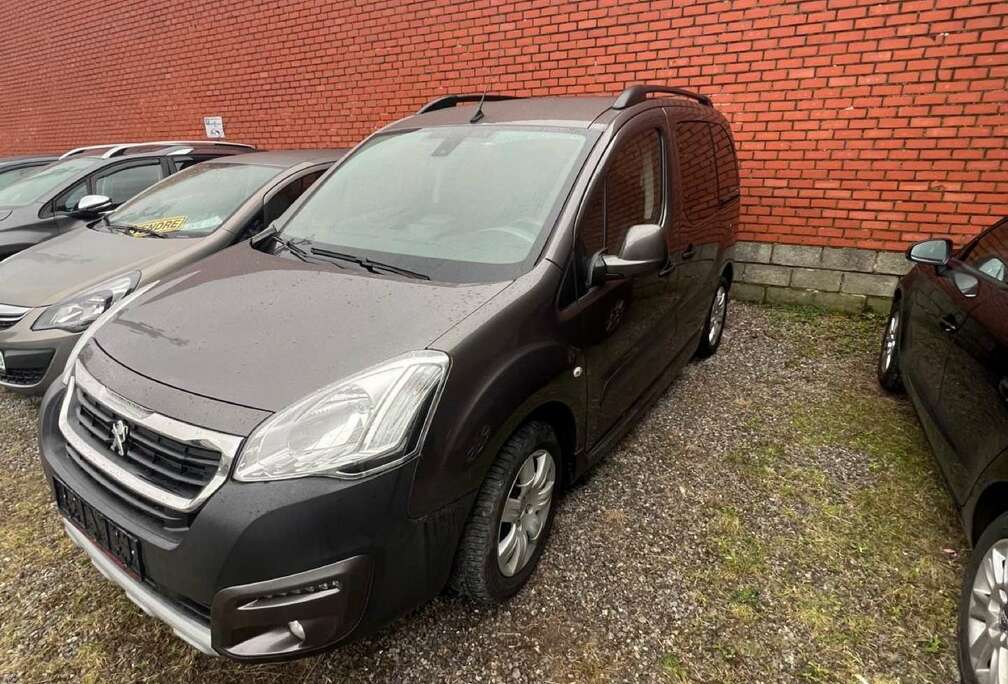 Peugeot Tepee 1.6 BlueHDi Active S&S