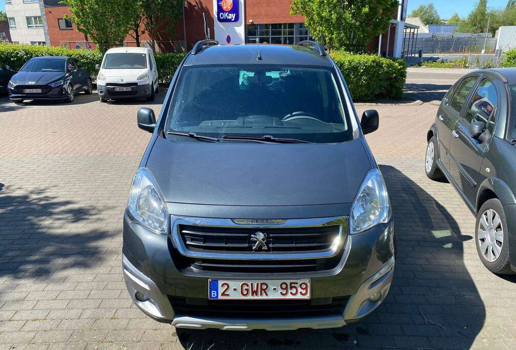 Peugeot 1.6 BlueHDi L2H1 Premium 121 S/S
