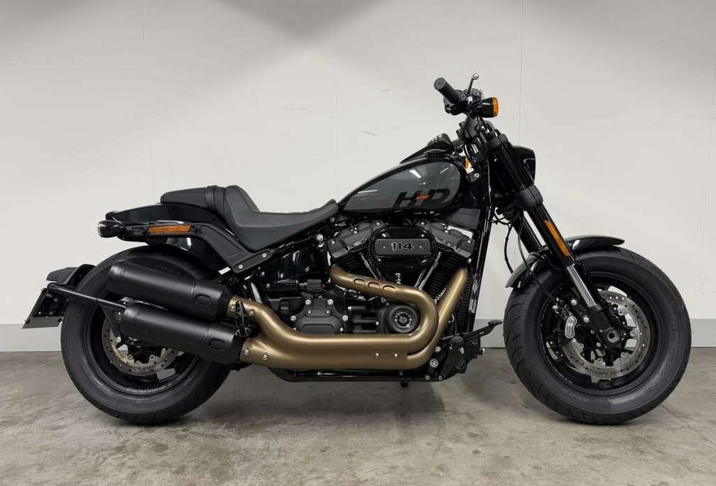 SOFTAIL FXFBS