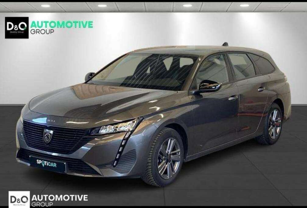 Peugeot Active Pack gps parkeerhulp