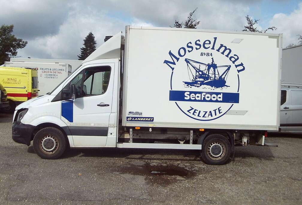 Mercedes-Benz 313  KOFFER FRIGO CARRIER TOT -29 GRADEN......