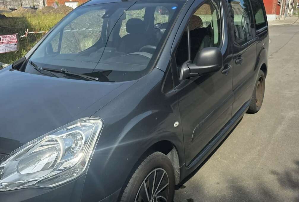Peugeot Partner Tepee 1.6 BlueHDi Active S