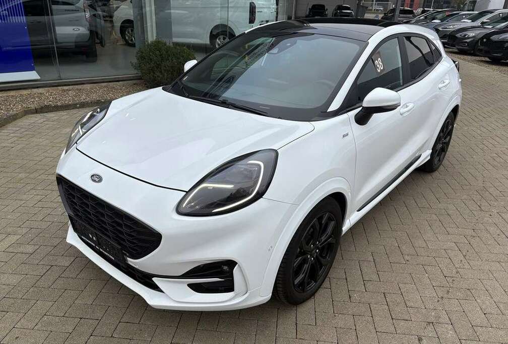 Ford 1.0 125 PK met panodak - afneembare trekhaak / 12