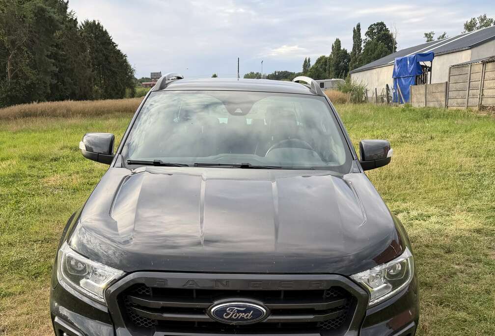 Ford 2.0 BiT EcoBlue Wildtrak (EU6.2)